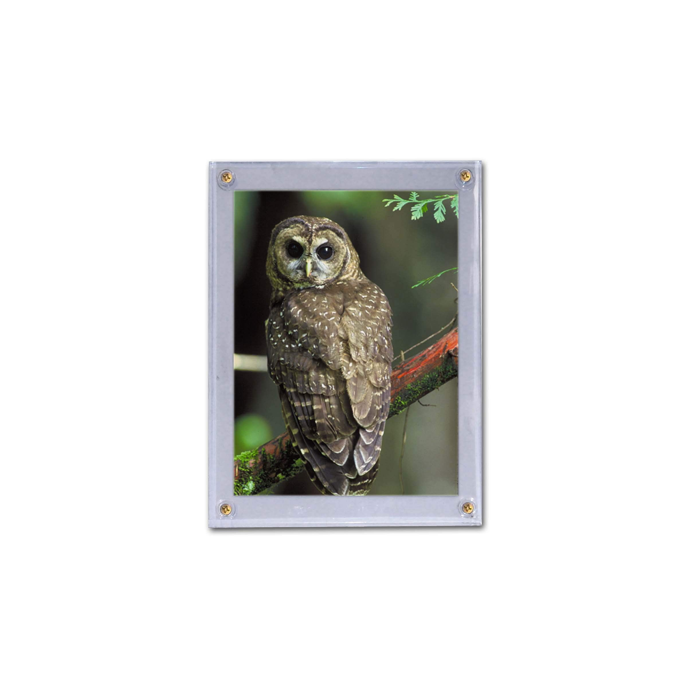 Postcard Albums